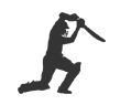Cricket